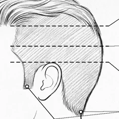 Illustration : Bas, mi-haut, haut