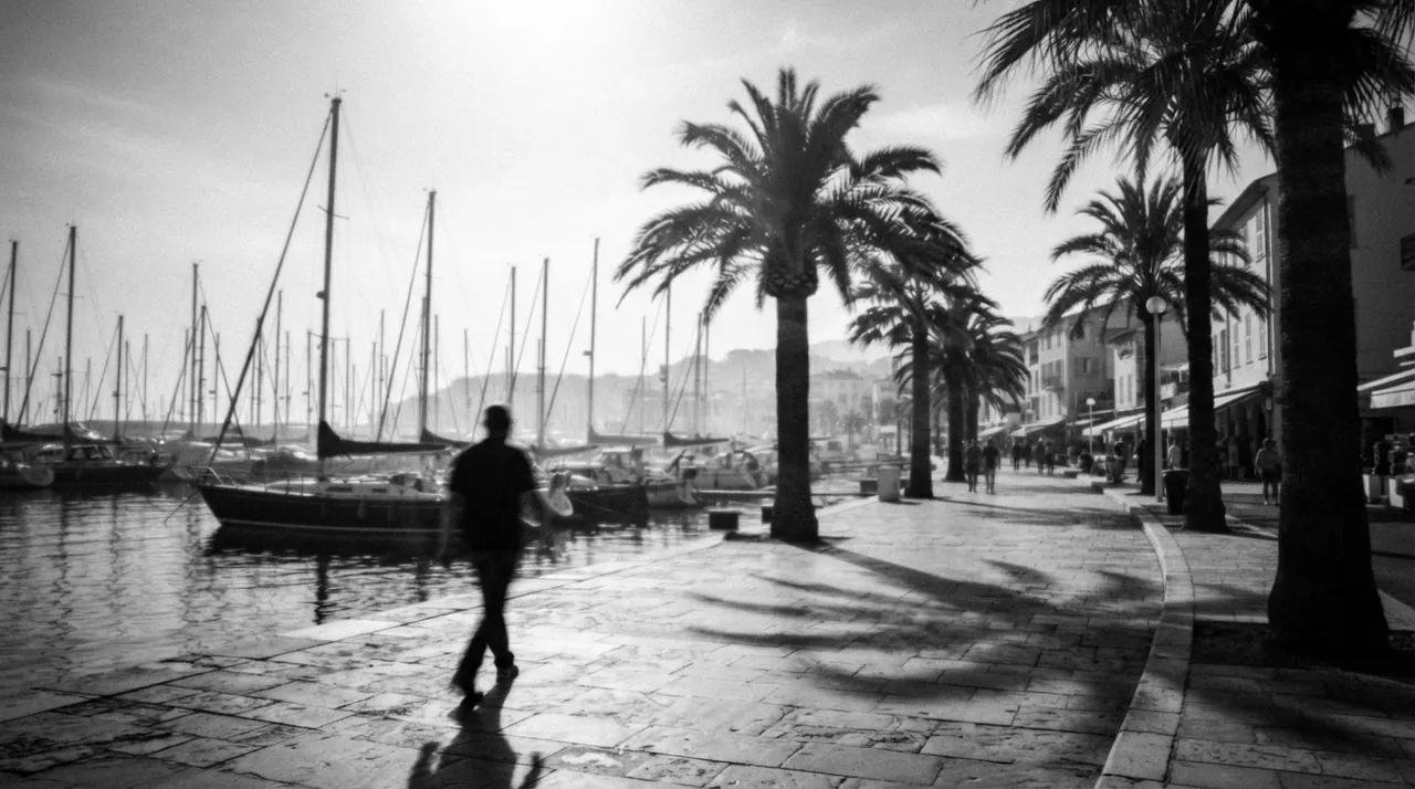 Promenade du port de Sainte-Maxime, palmiers et voiliers à contre-jour