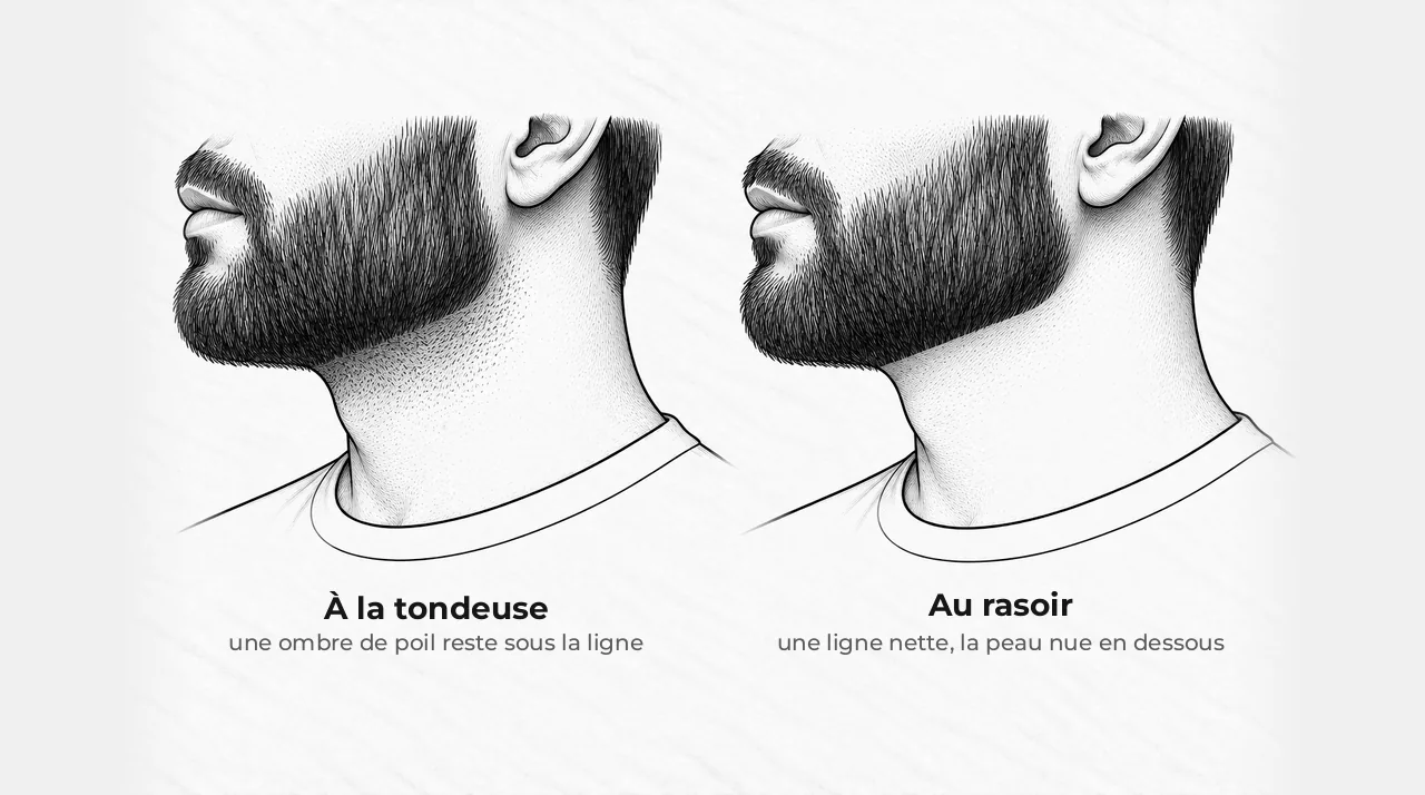 Schéma de deux mâchoires barbues vues de côté : à gauche, sous la ligne de la barbe, une bande d'ombre grise laissée par la tondeuse ; à droite, une ligne nette et la peau nue en dessous, tracée au rasoir