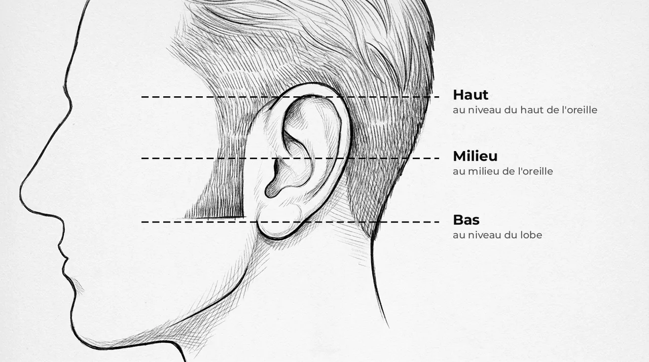 Schéma de profil autour de l’oreille : trois hauteurs de pattes, en haut, au milieu et en bas de l’oreille