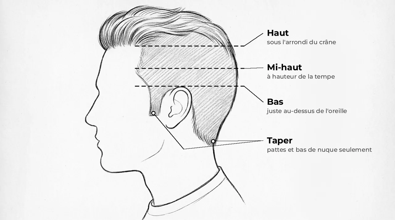 Schéma d’une tête de profil avec trois lignes de hauteur de dégradé, bas, mi-haut et haut, et le taper limité aux pattes et au bas de la nuque