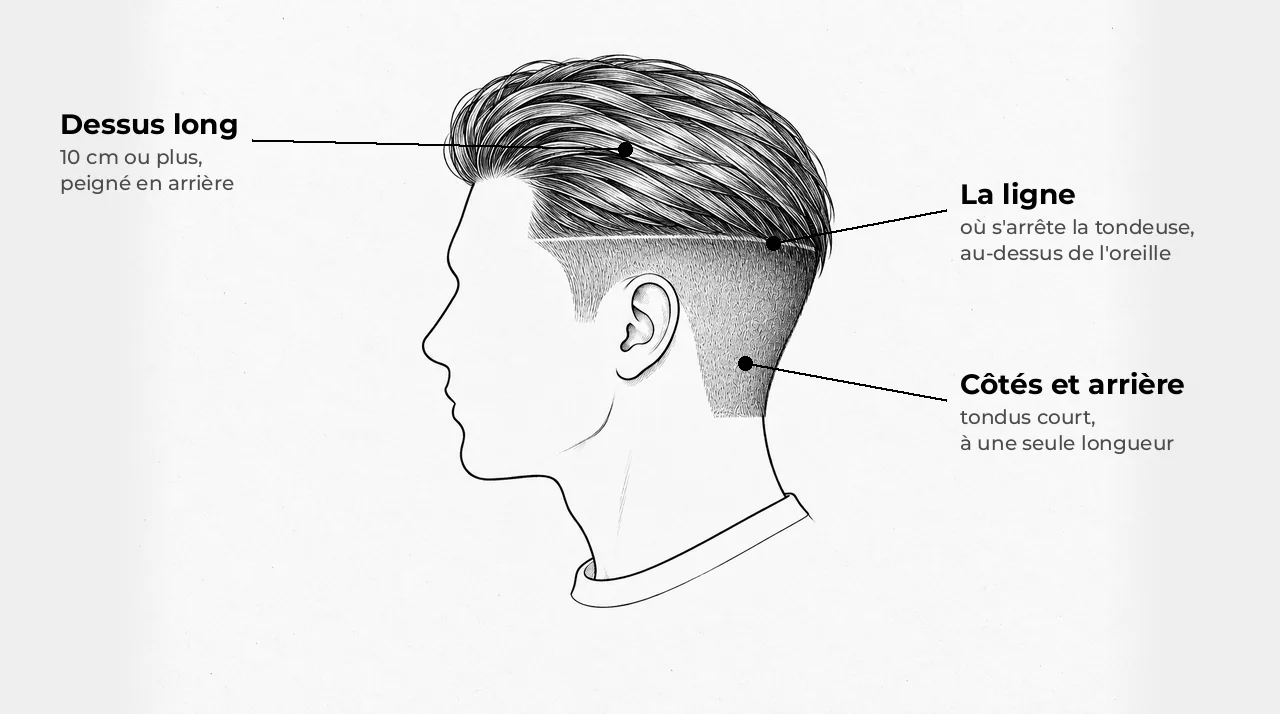 Schéma d'une tête vue de côté : côtés et arrière tondus courts jusqu'à une ligne nette, dessus long peigné en arrière
